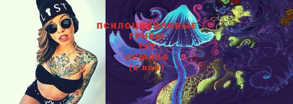 прущий лед Лиски